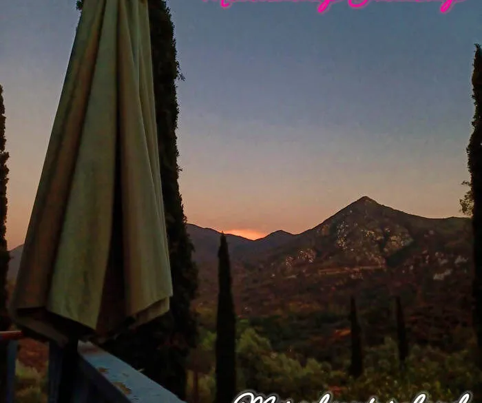 Mountaintop Junkshop - Misadventureland (Electric Blanket Records) 22 a3299068478 16