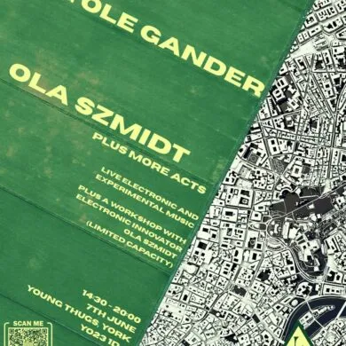 PREVIEW: Lug Ole Gander (LOG) - Platforming North Yorkshire Electronica this Summer 22 IMG 0276