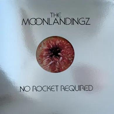 The Moonlandingz