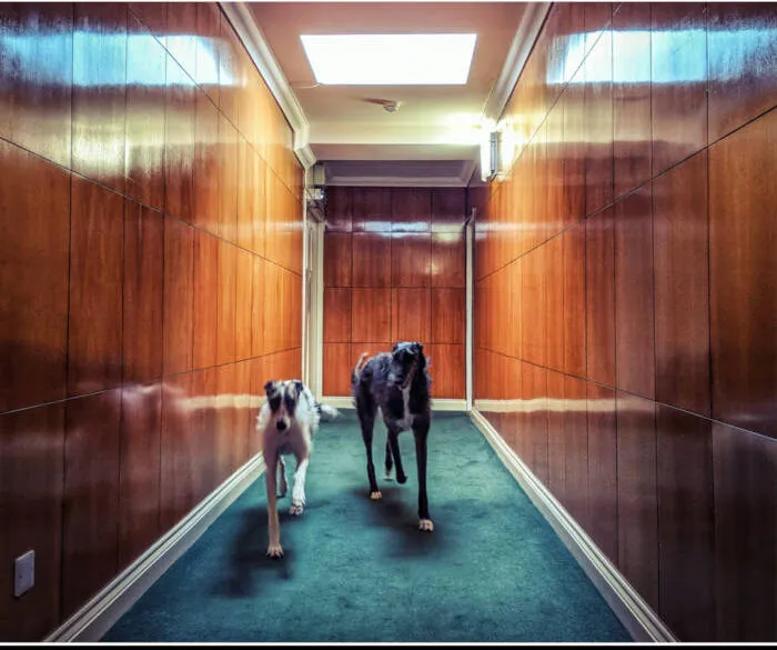 Stratford Rise - Stratford Rise EP 22 Stratford Rise