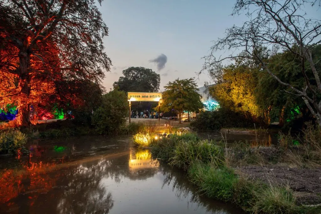 IN CAMERA: Green Man Festival 2025 (Saturday) 37 025 Enhanced NR 1