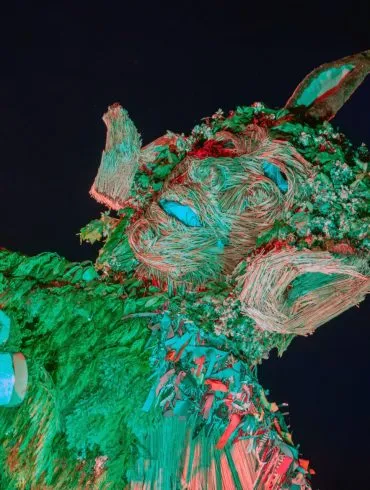 IN CAMERA: Green Man Festival 2025 (Thursday) 23 153 Enhanced NR