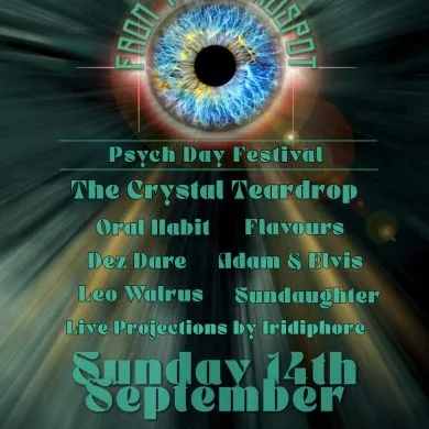 Purple Turtle From The Blindspot Sunday 14 Sep 202581