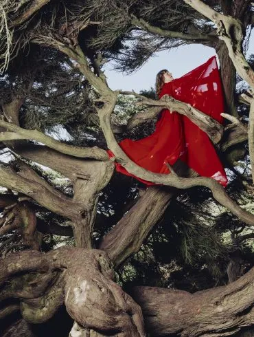 Hannah Frances - Nested in Tangles (Fire Talk) 23 cover Hannah Frances Nested in Tangles