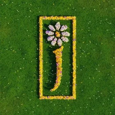 211961 james nothing but love the definitive