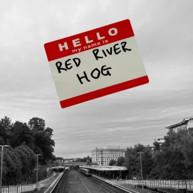 RED RIVER HOG Hello My Name Is. ART
