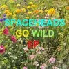 Spaceheads - Go Wild (Electric Brass Records) 27 a2746904784 10