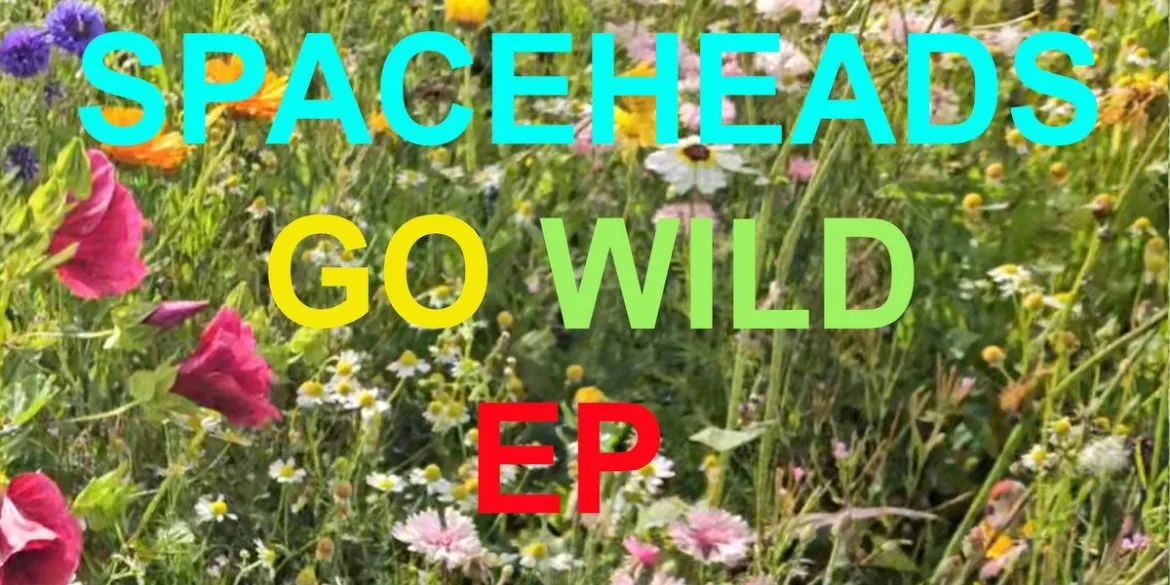 Spaceheads - Go Wild (Electric Brass Records) 30 a2746904784 10